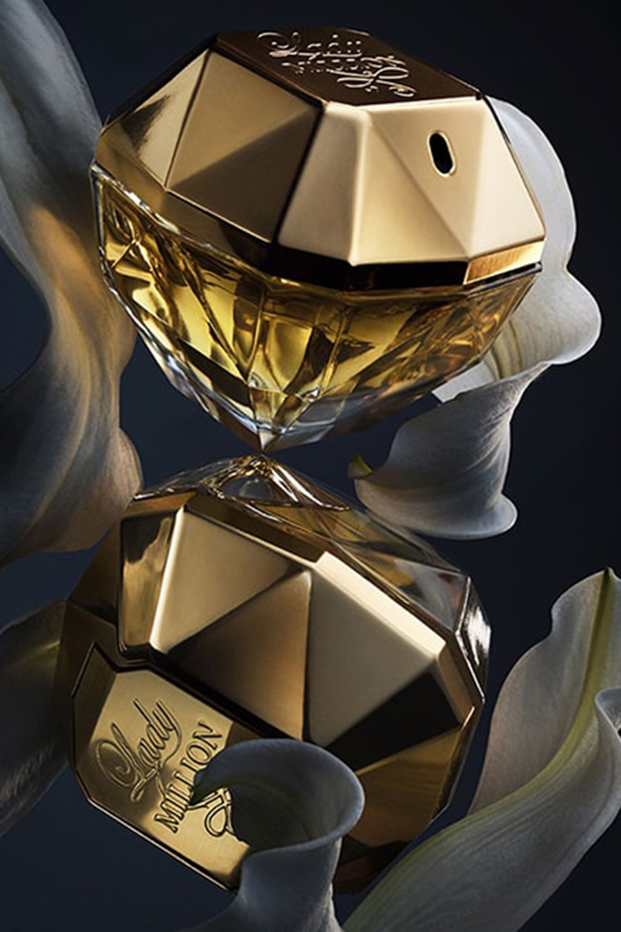 4IN6qJI53dPzylKDIilird-mediaFile-1705998443237